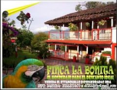 finca la bonita - Finca en Dos Quebradas, Risaralda